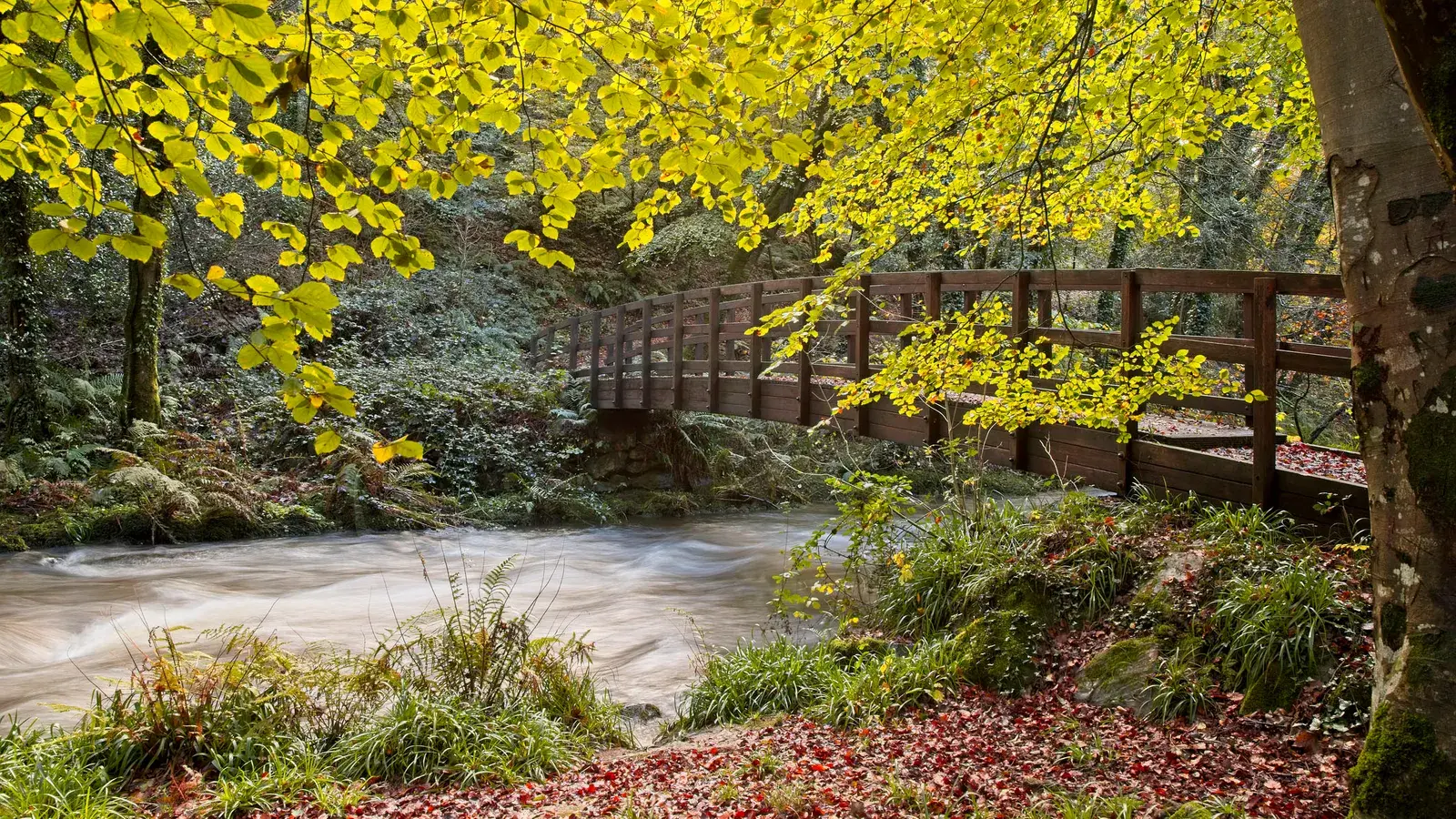 Долина Гваум . Уэльс
