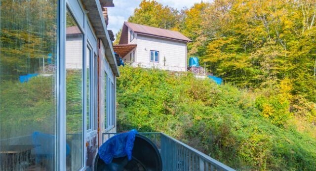 Краснодарского чая больше не будет. Генпрокуратура изъяла в пользу Сочинского Национального парка все земли чаеводов