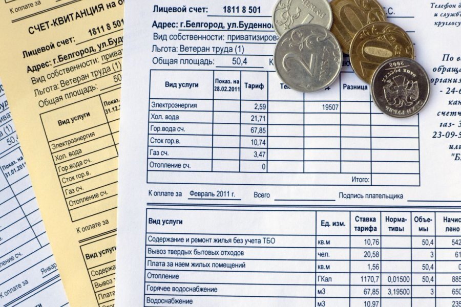 Положенные по закону деньги. Платежи от государства, о которых вы не знали