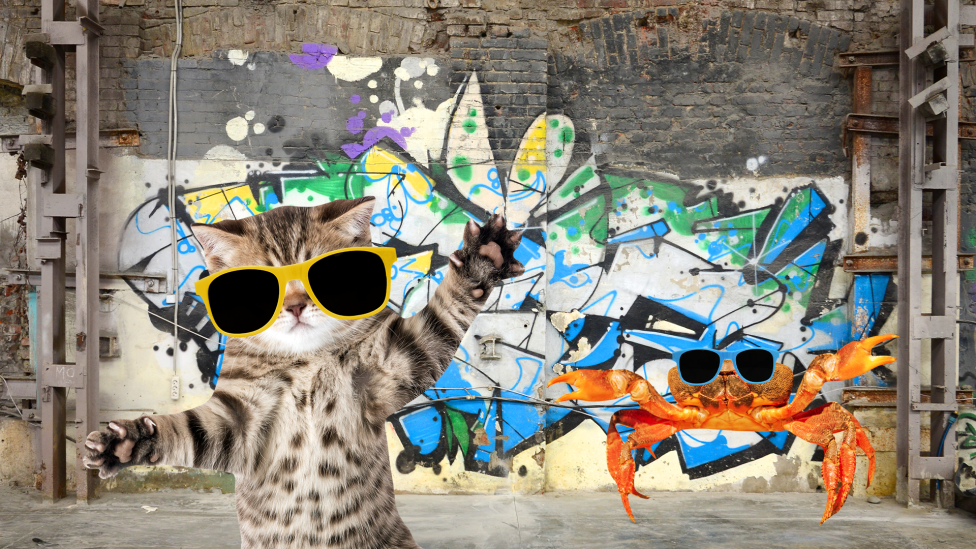 30 сумасшедших забавных фактов, которые поразят вас