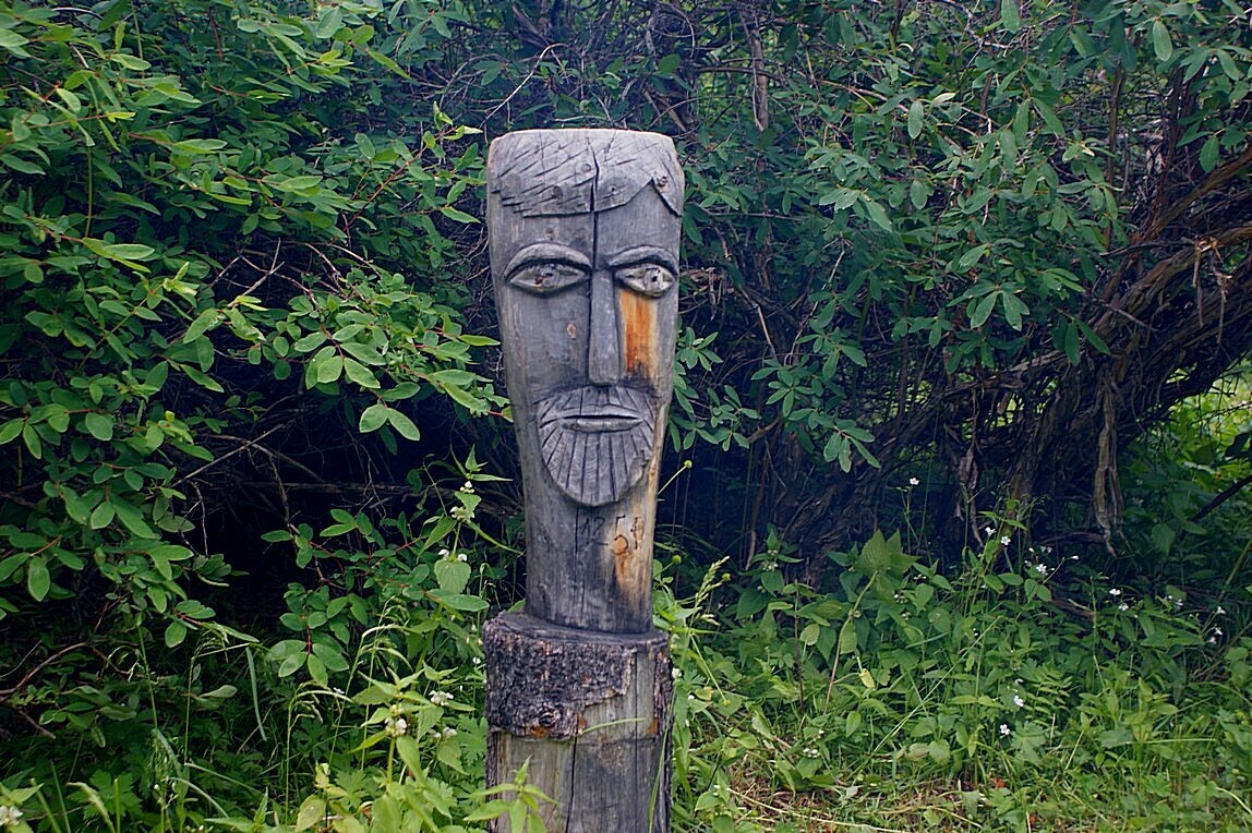 Пенсионер из Брянской области обнаружил идолов из дерева и доложил в полицию .