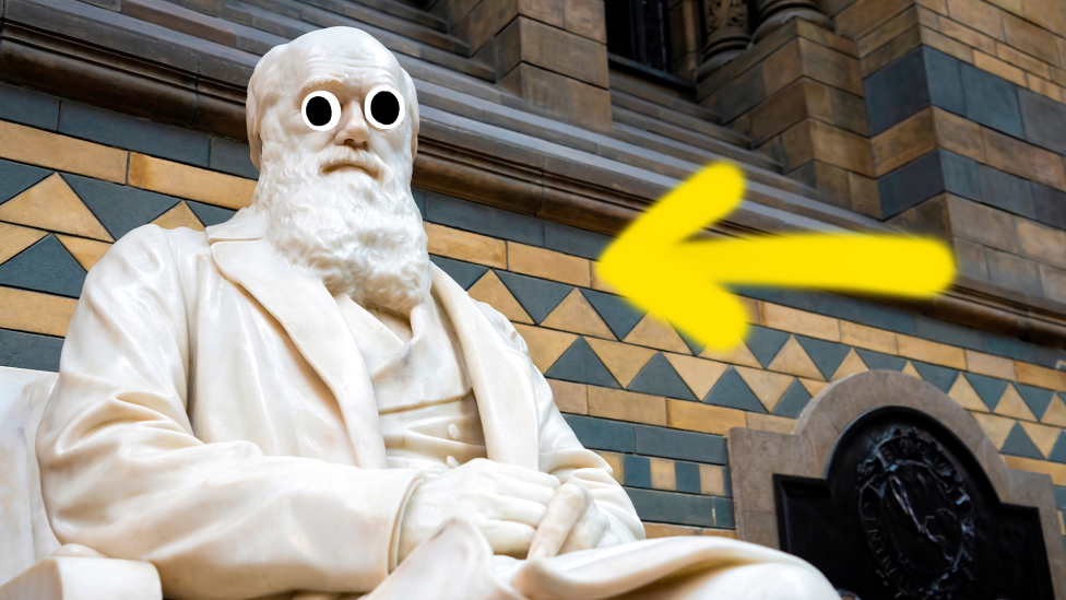 30 сумасшедших забавных фактов, которые поразят вас