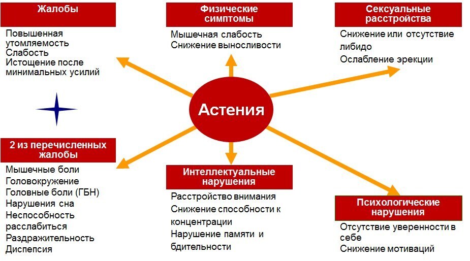 Лечение нервного истощения у женщин препараты схема