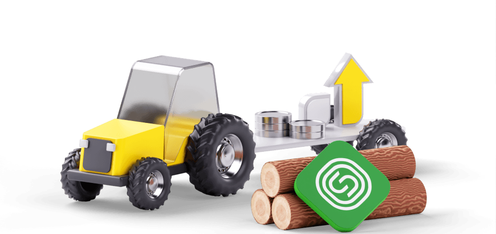 Как инвестировать в российский лес?