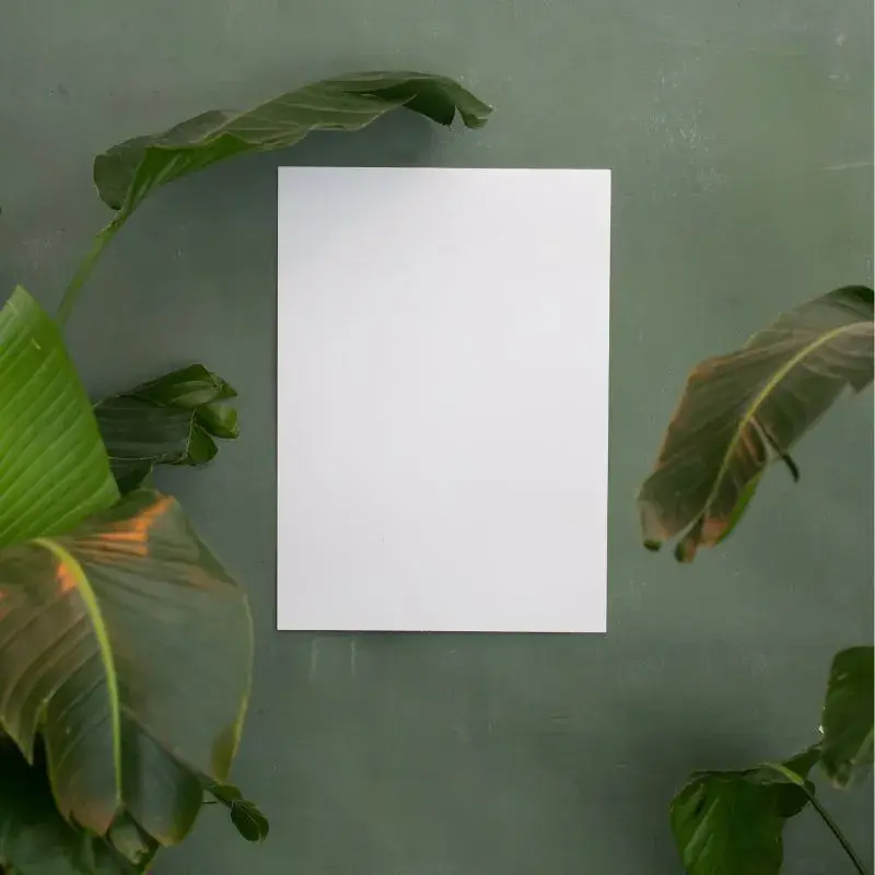 Фэн-шуй даёт рекомендации для положительного «ци» в год Кролика 2023