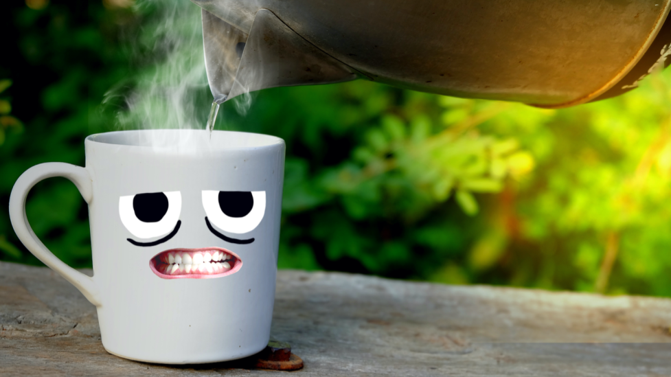 30 сумасшедших забавных фактов, которые поразят вас