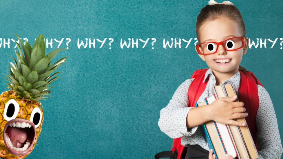 30 сумасшедших забавных фактов, которые поразят вас