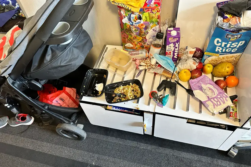 Мигранты превращают отель в Нью-Йорке в жестокий, зараженный наркотиками "бесплатный для всех"