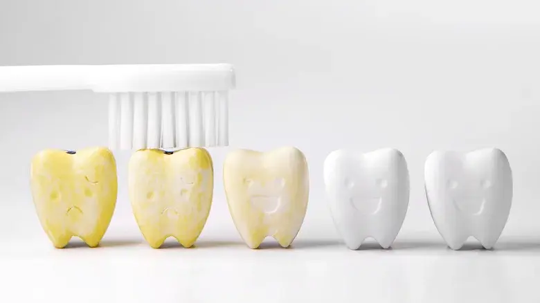 Ежедневное употребление эспрессо? (дополнение статьи)