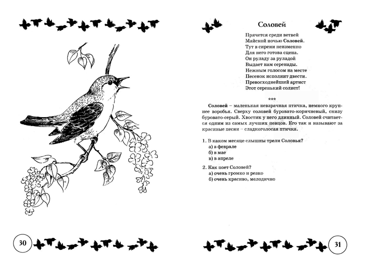 Рисунок к песне соловьи