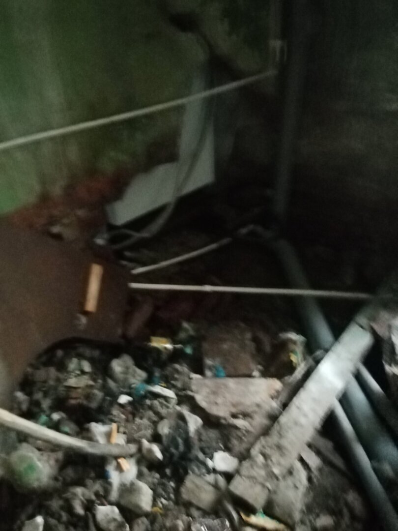 Город -сад или город -Припять. Немного о Тюмени