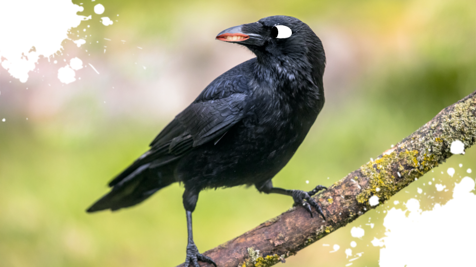 30 сумасшедших забавных фактов, которые поразят вас