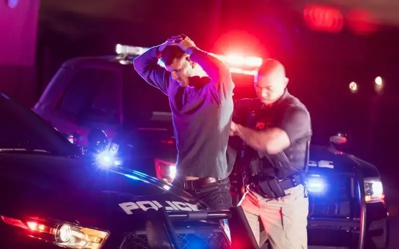 Голландская полиция и американской полиция: чем они отличаются?