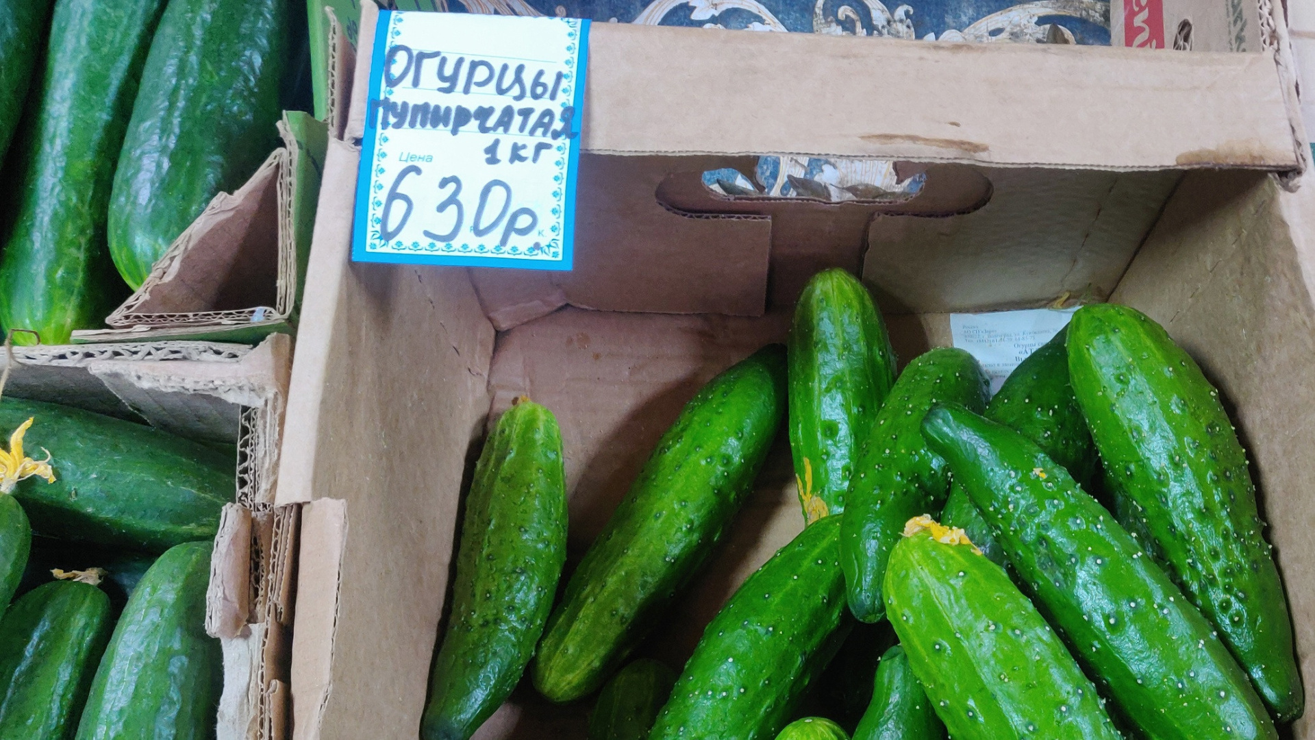 «невероятная цена! Приобретайте огурцы по 630 рублей за килограмм от российского производителя в Перми!»