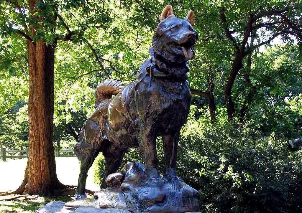 Герои в собачьих упряжках. День ездовой собаки или причём тут вакцина от дифтерии.