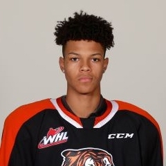 Пять молодых чернокожих хоккеистов, которые могут украсить НХЛ в скором будущем.