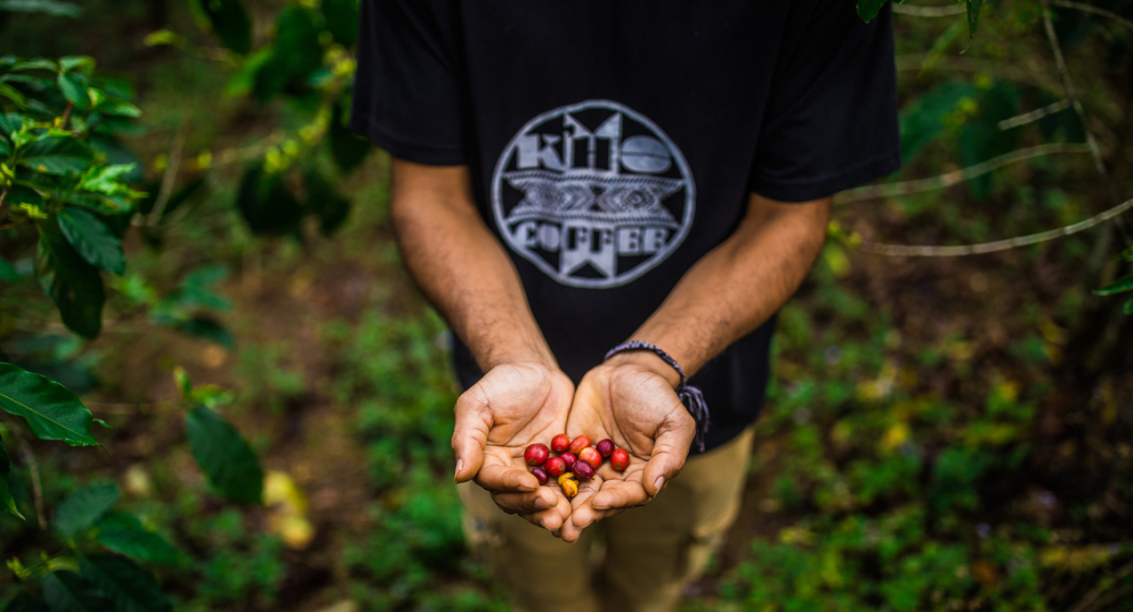 Экскурсия для любителей кофе в Далате