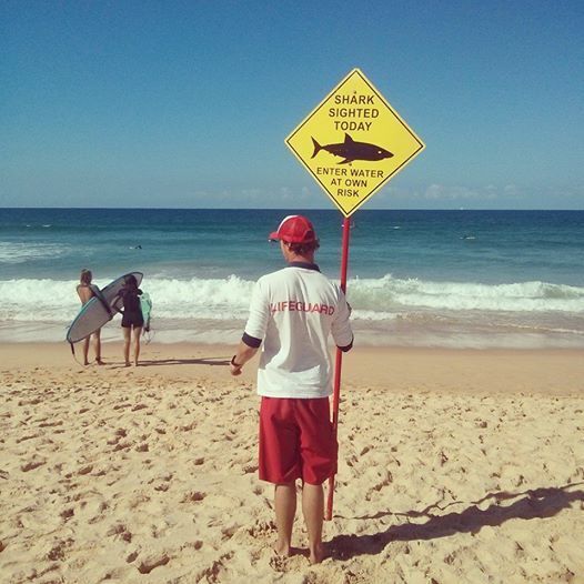 Почему жизнь на континенте Австралия не каждому подойдет?