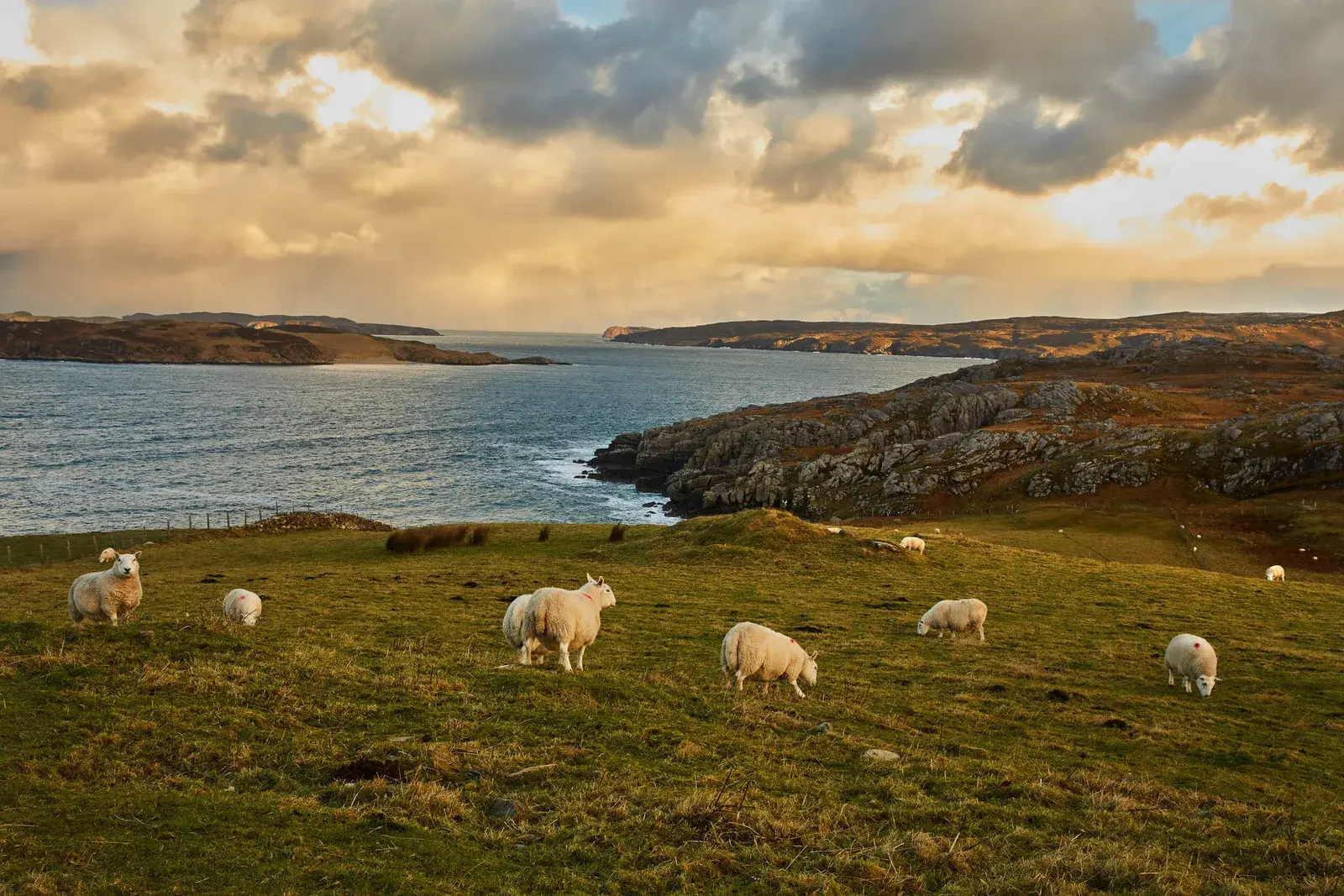 Шотландская деревня или космодром на краю света.
