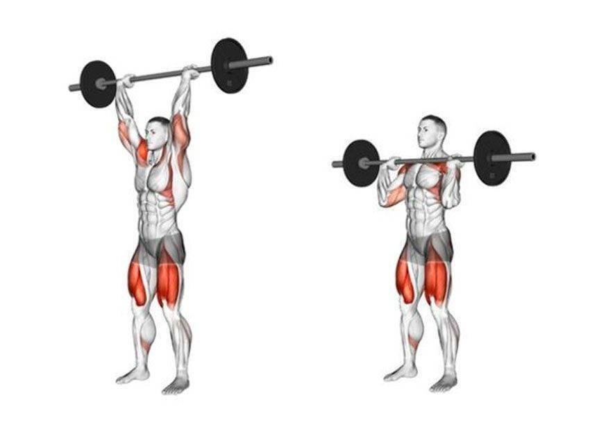 Немного об анатомии плеч| Разминка плеч| Основные упражнения на плечи| Подведение итогов в выполнении упражнений