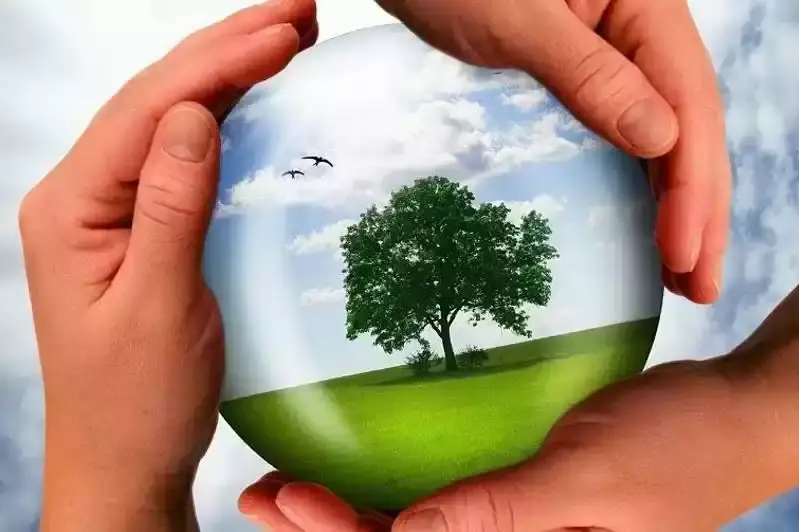 «Действия в связи с изменением климата: простые шаги к устойчивому будущему»