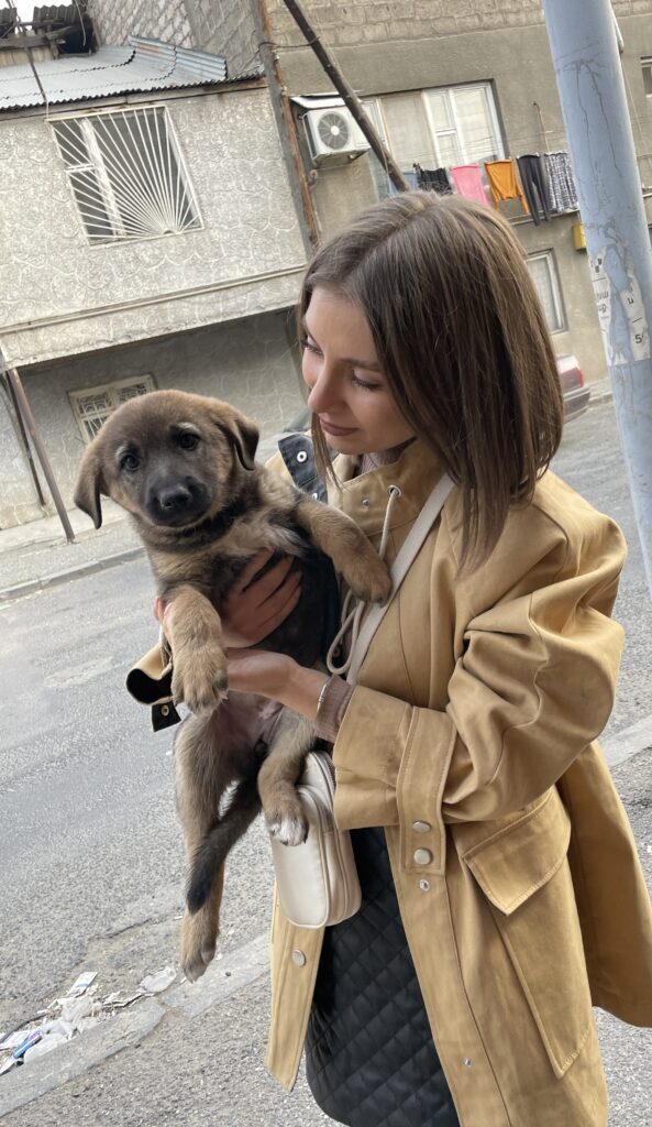 От «Папы-собаки» к «Маме-собаке»