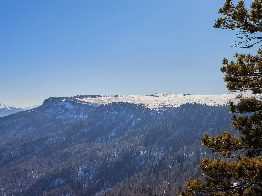 Что сейчас происходит на территории Лагонаки и нужен ли россиянам ещё один горнолыжный курорт вместо заповедника