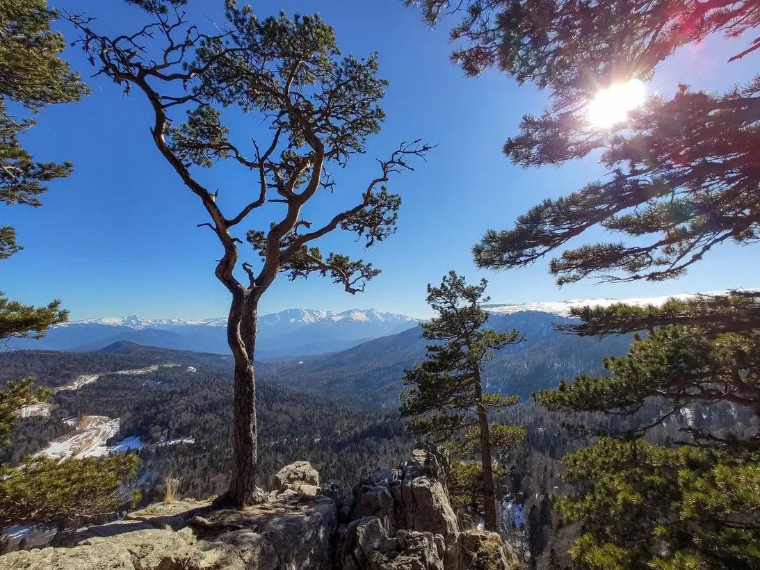 Что сейчас происходит на территории Лагонаки и нужен ли россиянам ещё один горнолыжный курорт вместо заповедника