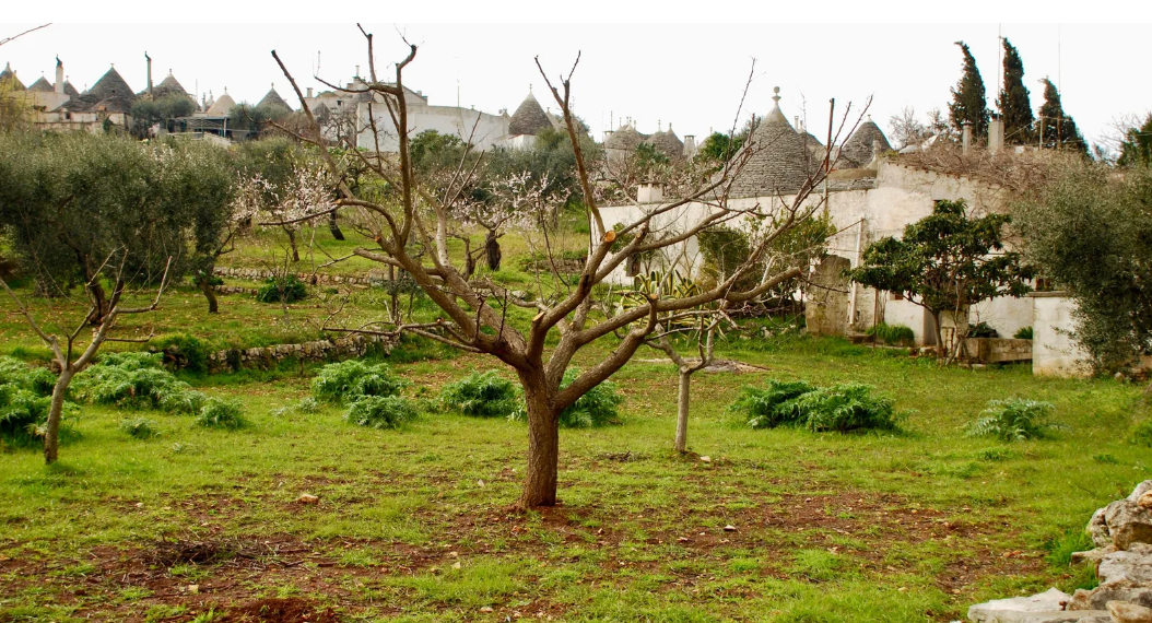 Древние дома Италии