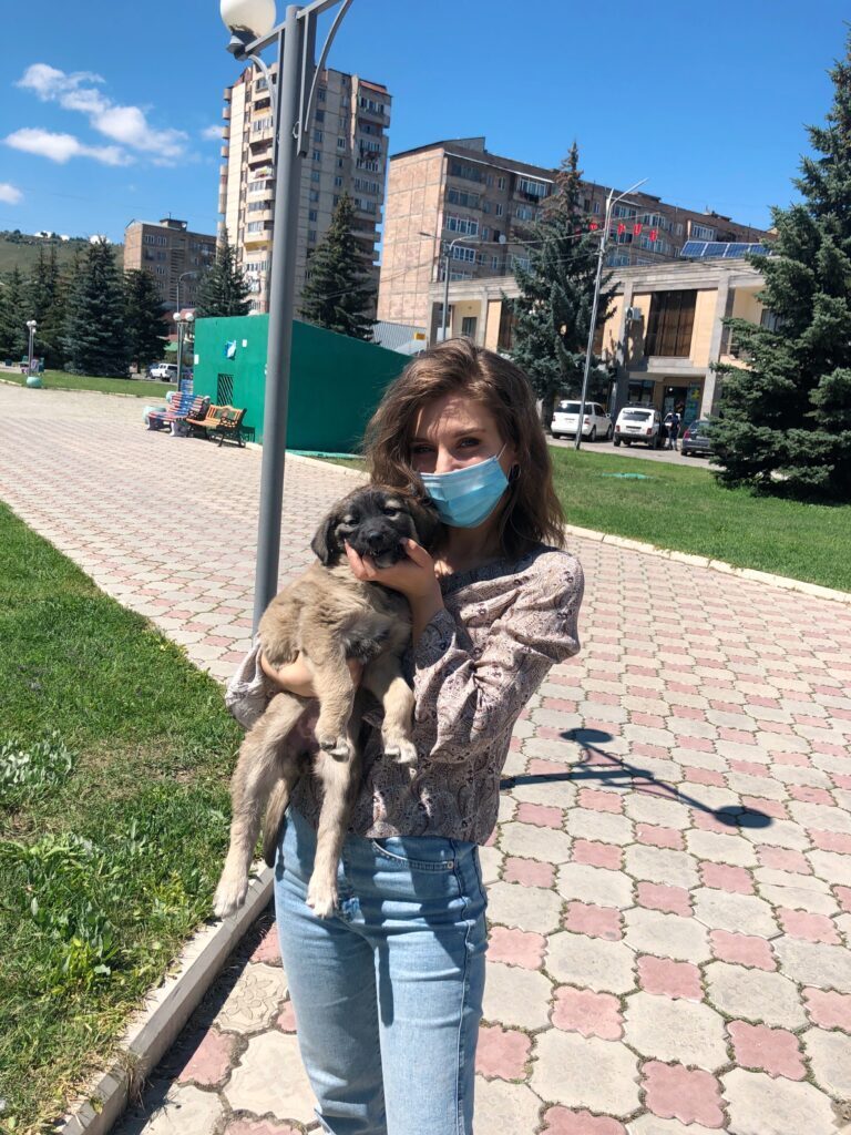 От «Папы-собаки» к «Маме-собаке»