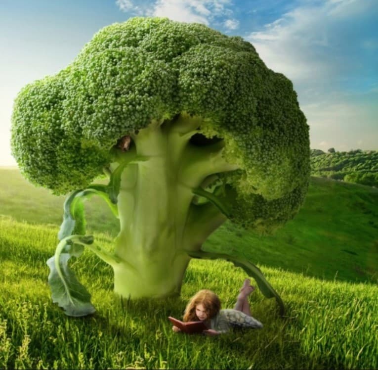 Это Суперпродукты, Которые Позаботятся О Вашем Сердце