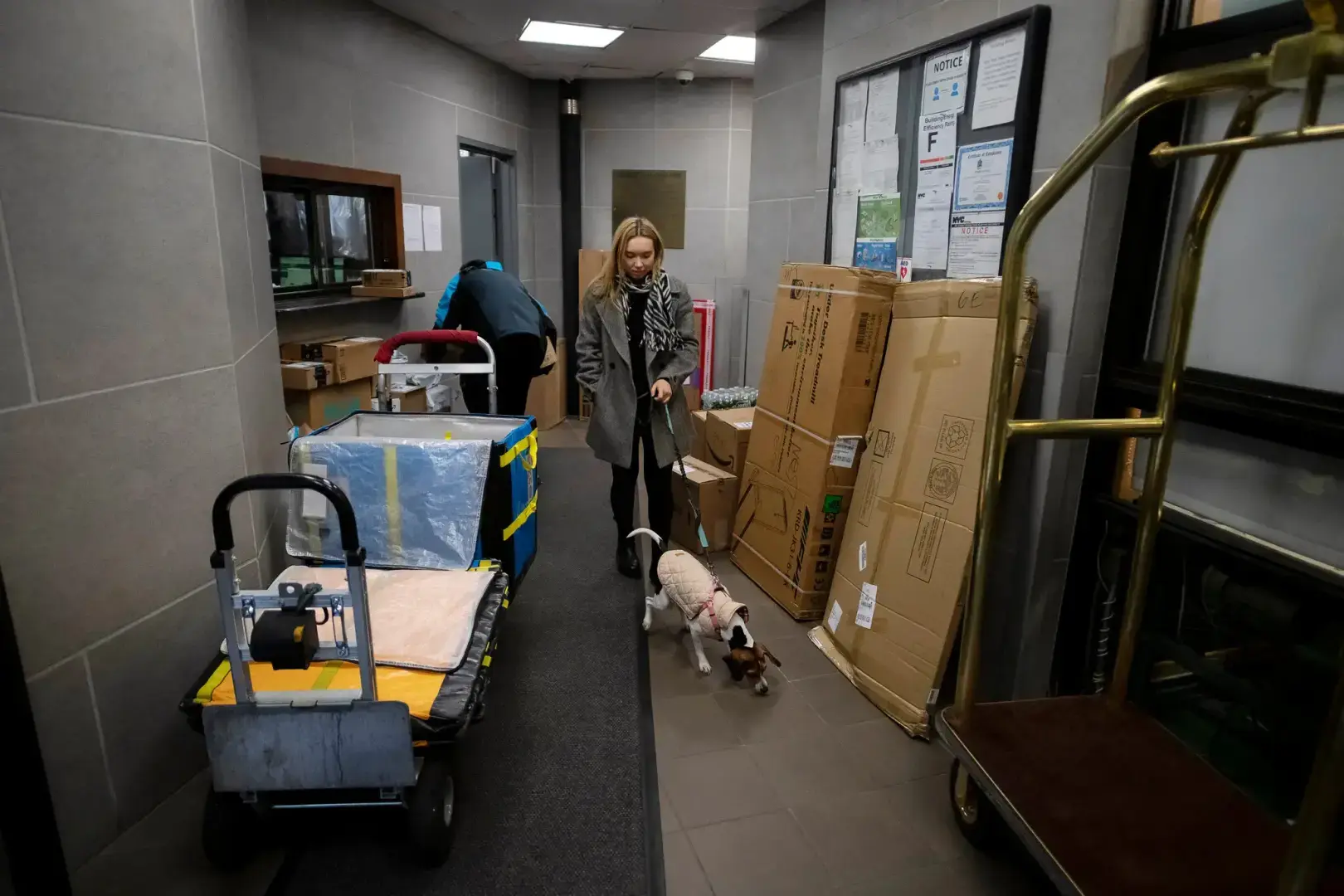 В некоторых зданиях собаки выходят с мусором! Америка сходит с УМА!!