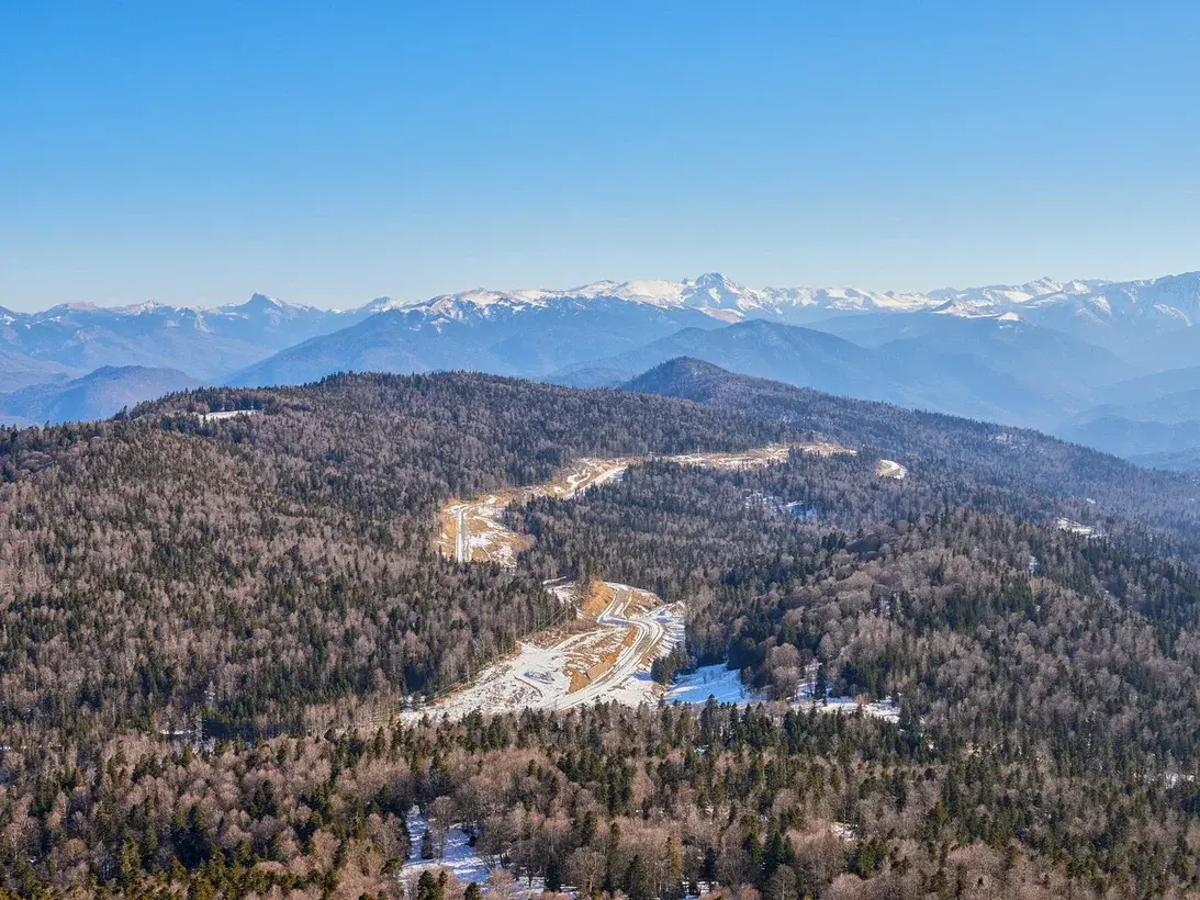 Что сейчас происходит на территории Лагонаки и нужен ли россиянам ещё один горнолыжный курорт вместо заповедника