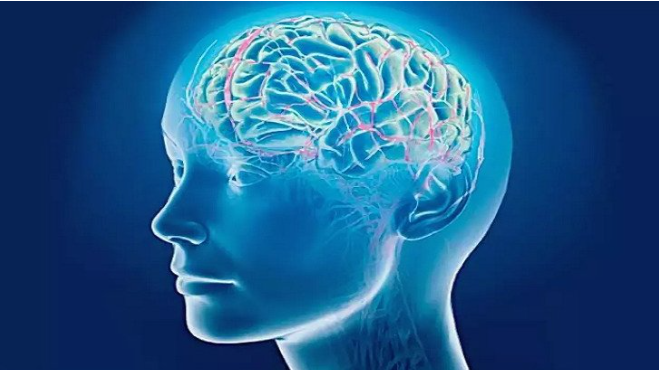 Как улучшить память взрослому человеку | Запомнить имена людей | Мозг