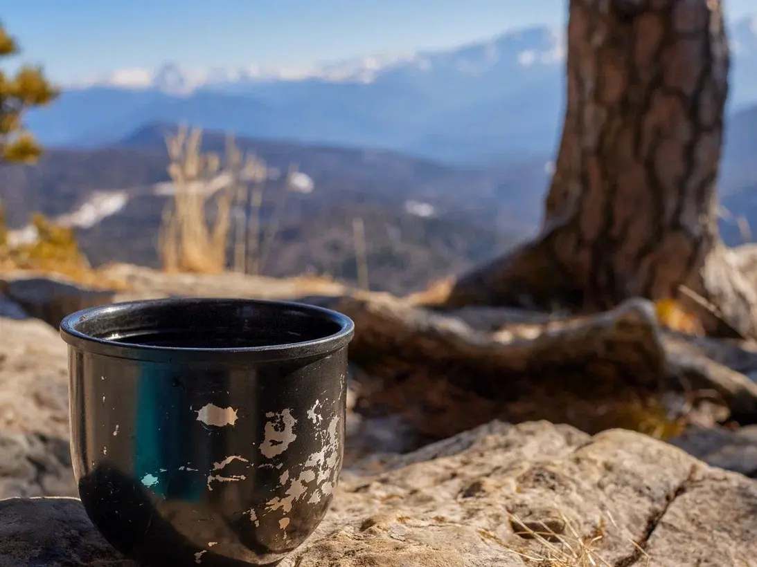 Что сейчас происходит на территории Лагонаки и нужен ли россиянам ещё один горнолыжный курорт вместо заповедника