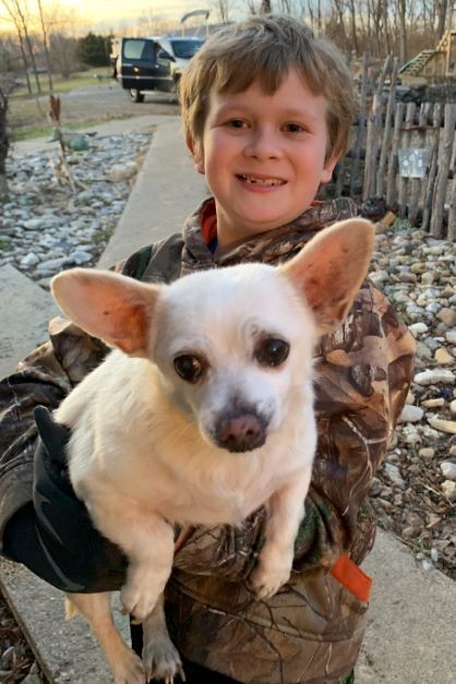 Самая старая собака из ныне живущих: помесь чихуахуа претендует на рекорд.