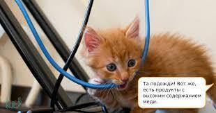 Причины ранней седины. Как восстановить натуральный цвет волос