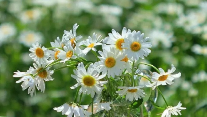 Как избавиться от запаха плесени | Запах сырости в квартире | Воздухоочистители