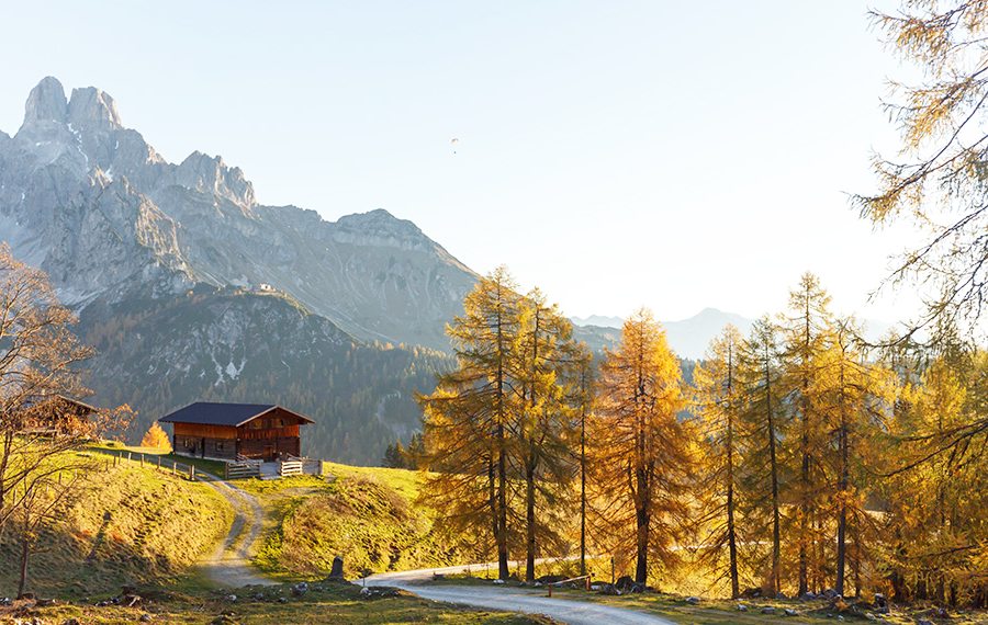 Тайна Рейнского золота.