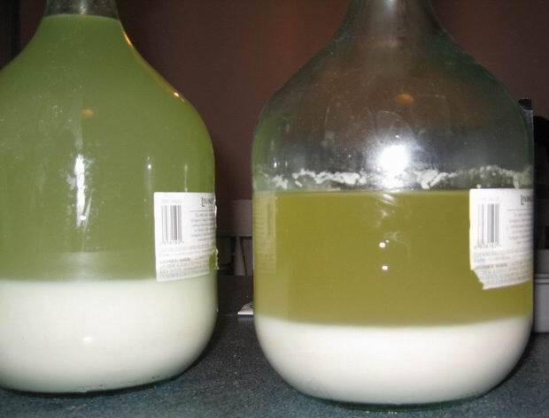 Процесс приготовления саке