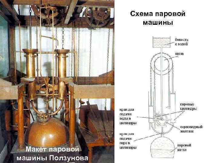 Паровой двигатель ползунова картинки