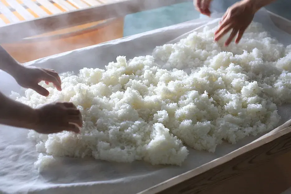 Процесс приготовления саке