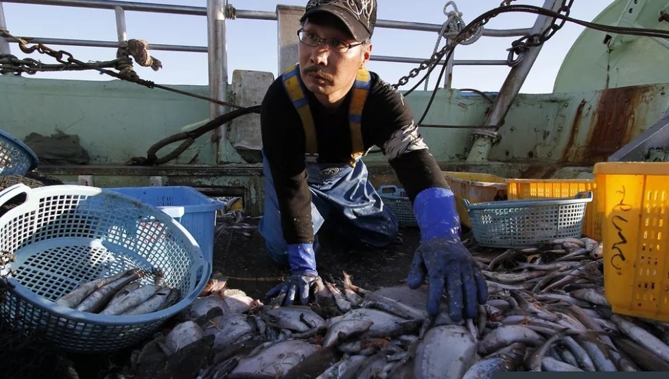 Наконец наелись, запрет на вылов рыбы для японцев.