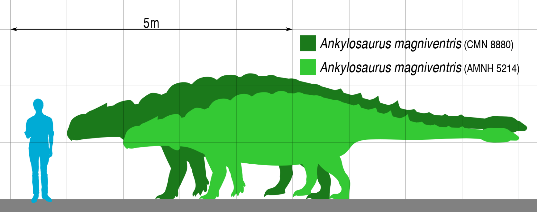 Юрская Энциклопедия "Анкилозавр" №2