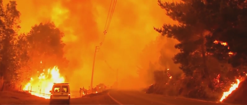 22 погибших, сотни раненых в результате лесных пожаров в Чили, которые продолжают распространяться