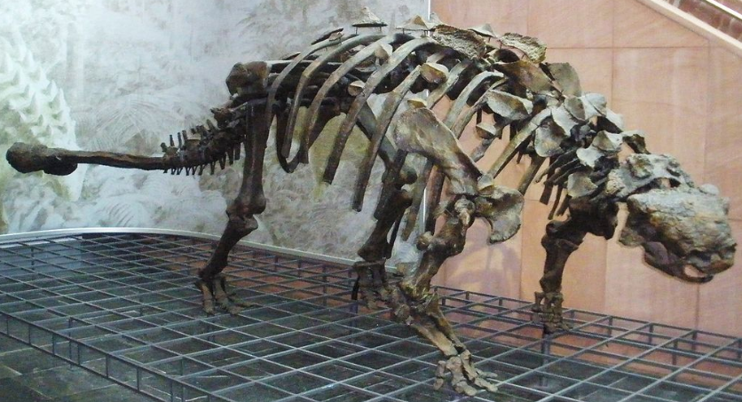 Юрская Энциклопедия "Анкилозавр" №2