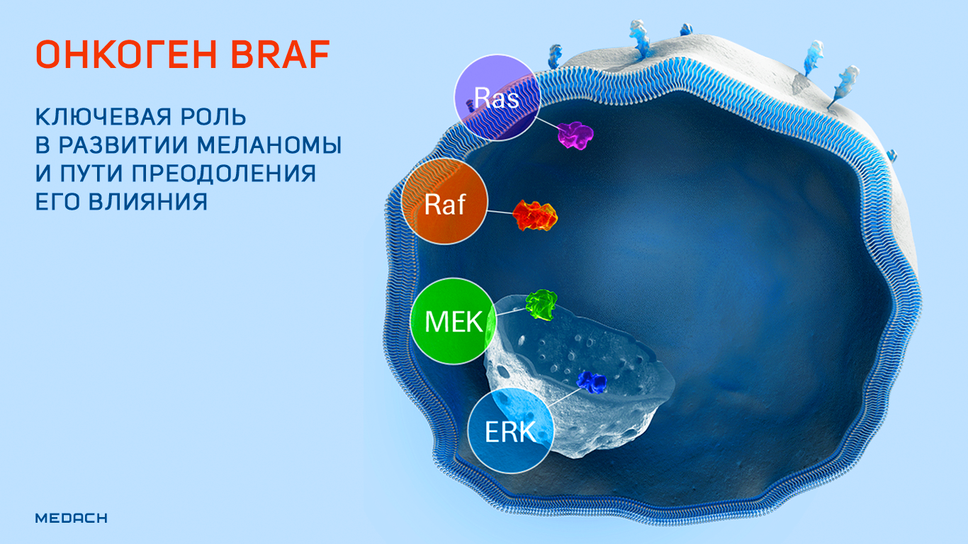 BRAF v600e. Мутация BRAF v600e. Мутация в гене BRAF v600r. Меланома BRAF мутация.