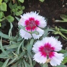 Секреты, г. Москва