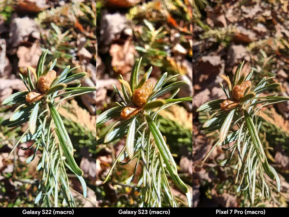 Стал ли Galaxy S23 Ultra наконец-то лучше фотографировать движущиеся объекты?