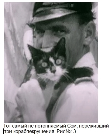 Десять фактов о кошках, о которых вы не догадываетесь.Часть 2